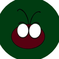 COCCINELLIDAE FINANCE