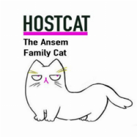 Ansem Family Cats