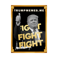 TRUMPMEMES