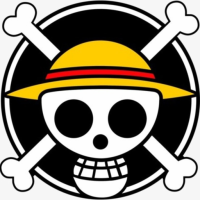 One Piece Token