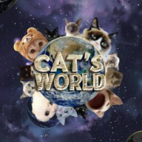 Cats World