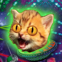 WEIRDFKCAT