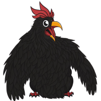 Black Cock