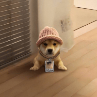 dogwifmichi