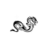 DRAGON ASIA