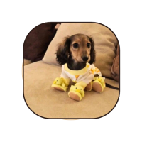 Toby