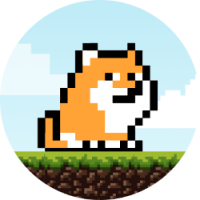 PlayDoge