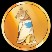 TDOGE BLACK