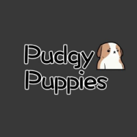 Pudgy Pups Club