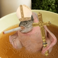 Smoking Chicken Fish