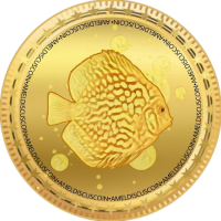Amel Discus Coin