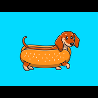 Sausage Dog