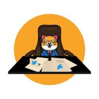 BabyDoge CEO