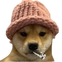 dogwifblunt