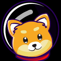 Moon DOGE token