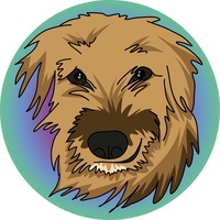 Dog of Meme