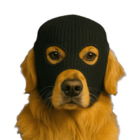 SkiDogInMe