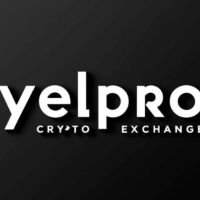 Yelpro