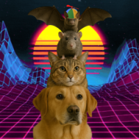 DogWifCatWifRatWifBatWifHeliHat