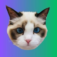 Taylor Swifts Cat
