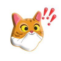 BONK CAT