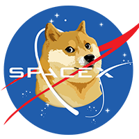 SpaceX Doge