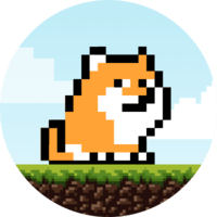 PlayDoge Sol Token
