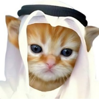 Habibi