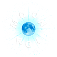 Moon ROI