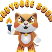 Baby Doge Burn