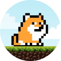 PlayDoge Token