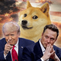 DOGE